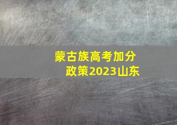 蒙古族高考加分政策2023山东