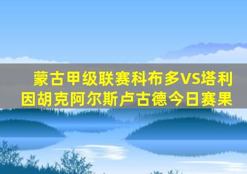 蒙古甲级联赛科布多VS塔利因胡克阿尔斯卢古德今日赛果