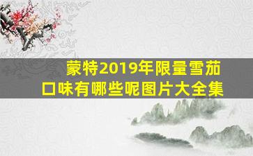 蒙特2019年限量雪茄口味有哪些呢图片大全集