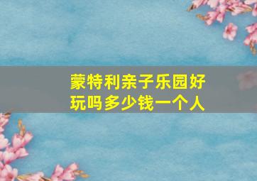 蒙特利亲子乐园好玩吗多少钱一个人