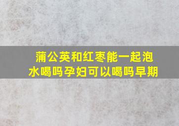 蒲公英和红枣能一起泡水喝吗孕妇可以喝吗早期