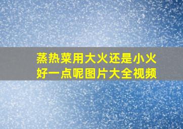 蒸热菜用大火还是小火好一点呢图片大全视频