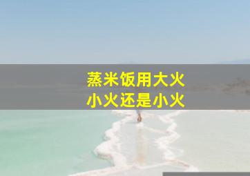 蒸米饭用大火小火还是小火