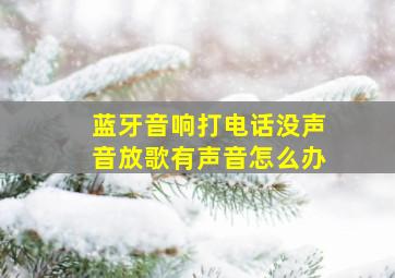 蓝牙音响打电话没声音放歌有声音怎么办