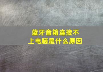 蓝牙音箱连接不上电脑是什么原因