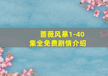 蔷薇风暴1-40集全免费剧情介绍