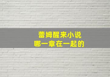 蕾姆醒来小说哪一章在一起的