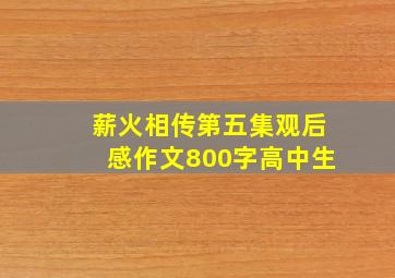 薪火相传第五集观后感作文800字高中生