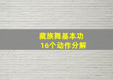 藏族舞基本功16个动作分解