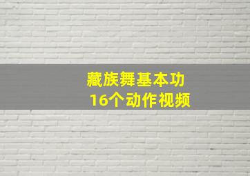 藏族舞基本功16个动作视频