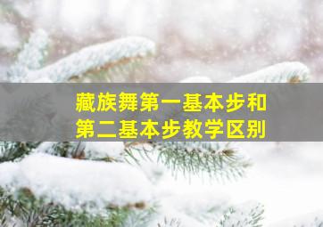 藏族舞第一基本步和第二基本步教学区别