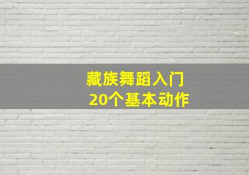 藏族舞蹈入门20个基本动作