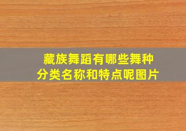 藏族舞蹈有哪些舞种分类名称和特点呢图片