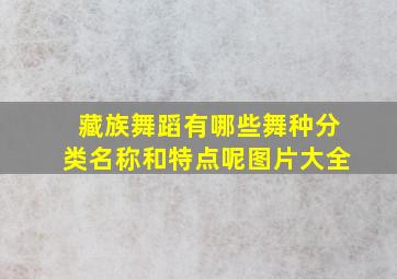 藏族舞蹈有哪些舞种分类名称和特点呢图片大全