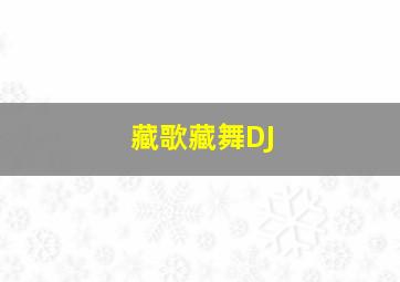 藏歌藏舞DJ