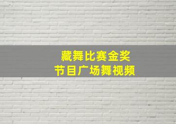 藏舞比赛金奖节目广场舞视频