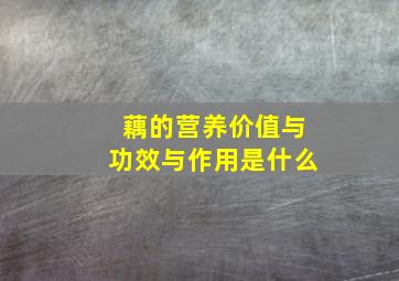 藕的营养价值与功效与作用是什么