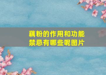 藕粉的作用和功能禁忌有哪些呢图片