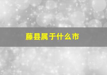 藤县属于什么市