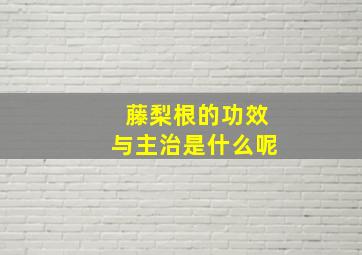 藤梨根的功效与主治是什么呢