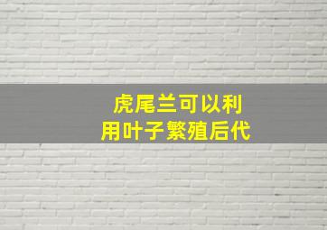 虎尾兰可以利用叶子繁殖后代