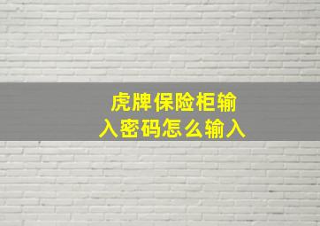 虎牌保险柜输入密码怎么输入