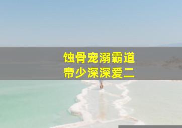 蚀骨宠溺霸道帝少深深爱二