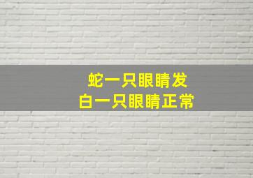 蛇一只眼睛发白一只眼睛正常