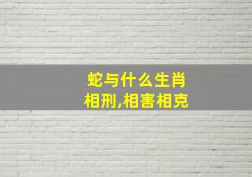 蛇与什么生肖相刑,相害相克