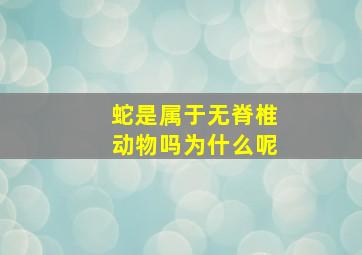 蛇是属于无脊椎动物吗为什么呢