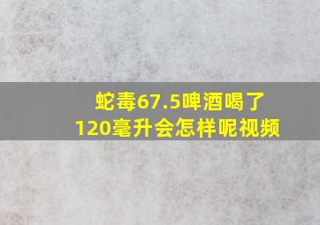 蛇毒67.5啤酒喝了120毫升会怎样呢视频