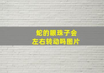 蛇的眼珠子会左右转动吗图片