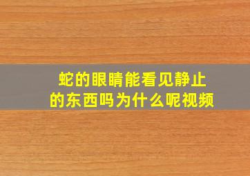 蛇的眼睛能看见静止的东西吗为什么呢视频