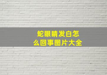 蛇眼睛发白怎么回事图片大全