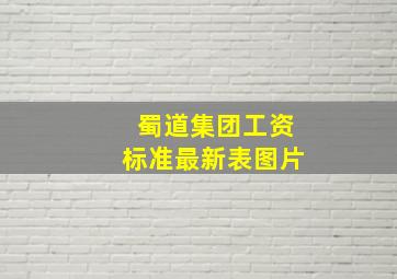 蜀道集团工资标准最新表图片