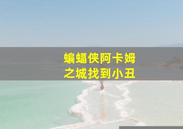 蝙蝠侠阿卡姆之城找到小丑