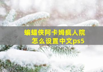 蝙蝠侠阿卡姆疯人院怎么设置中文ps5