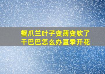 蟹爪兰叶子变薄变软了干巴巴怎么办夏季开花