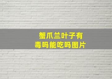 蟹爪兰叶子有毒吗能吃吗图片