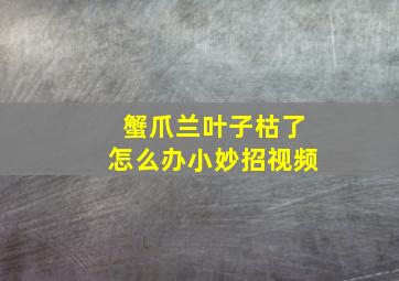 蟹爪兰叶子枯了怎么办小妙招视频