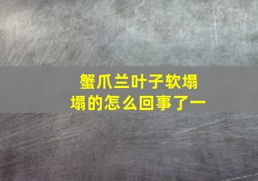 蟹爪兰叶子软塌塌的怎么回事了一