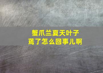 蟹爪兰夏天叶子蔫了怎么回事儿啊