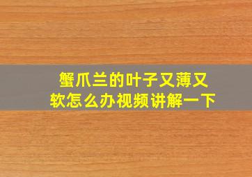 蟹爪兰的叶子又薄又软怎么办视频讲解一下