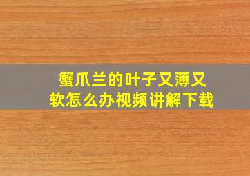 蟹爪兰的叶子又薄又软怎么办视频讲解下载