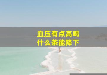 血压有点高喝什么茶能降下