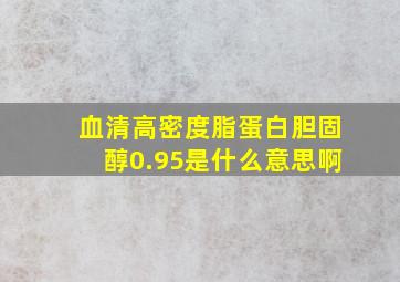 血清高密度脂蛋白胆固醇0.95是什么意思啊