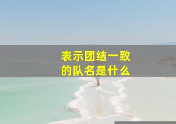 表示团结一致的队名是什么