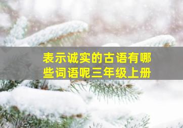 表示诚实的古语有哪些词语呢三年级上册