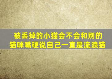 被丢掉的小猫会不会和别的猫咪嘴硬说自己一直是流浪猫