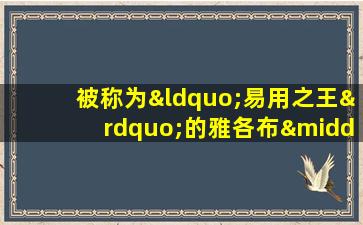 被称为“易用之王”的雅各布·尼尔森提出了